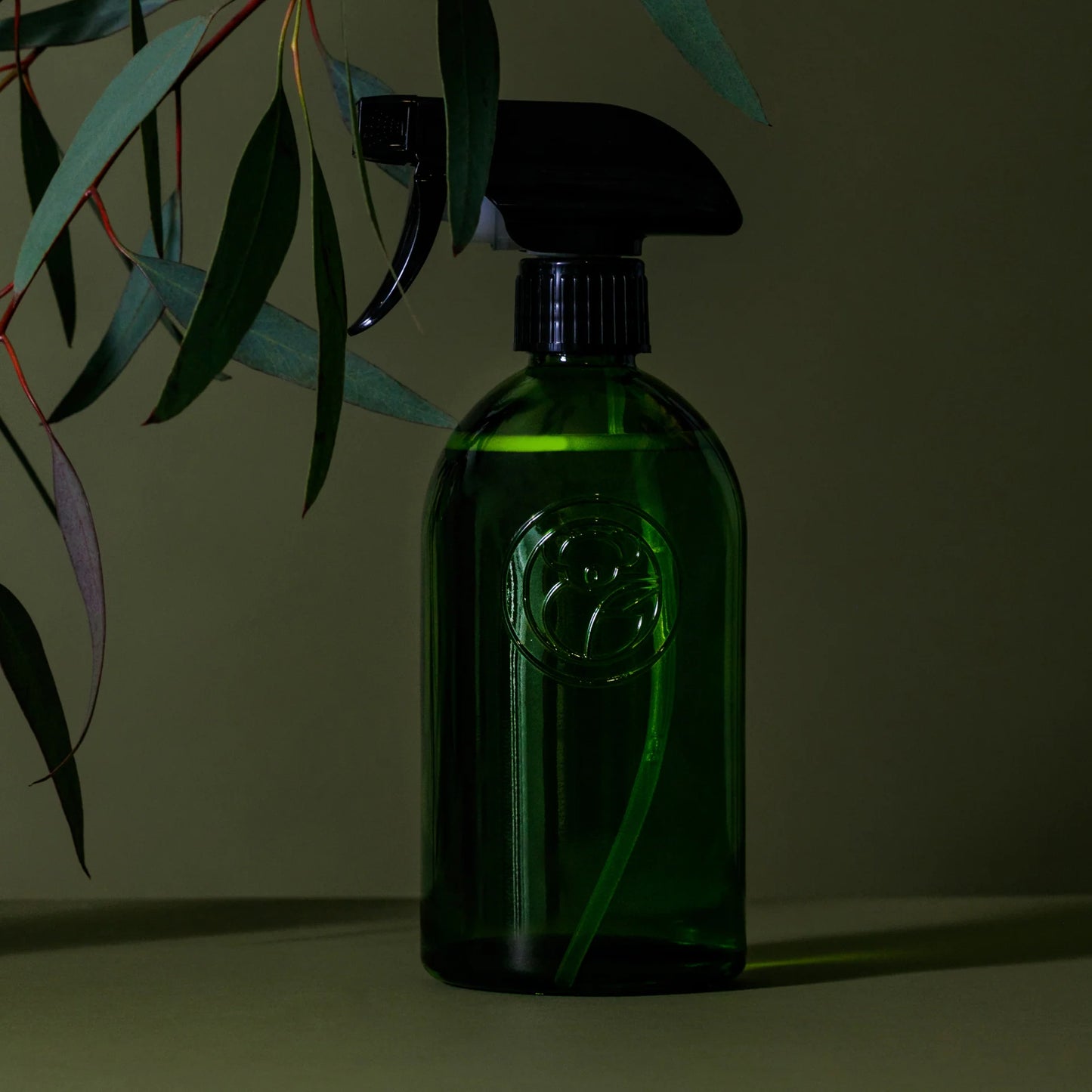 Apothecary Glass Spray Bottle
